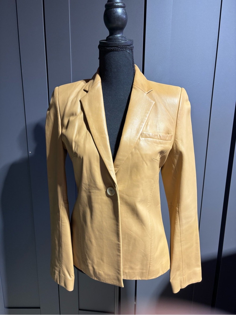 Banana Republic Women's Camel Leather Single-Button jacket